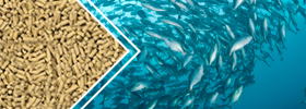 漂浮魚飼料生產線