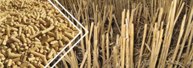 秸稈顆粒生產(chǎn)線